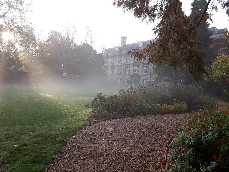 Fellows Garden Fog